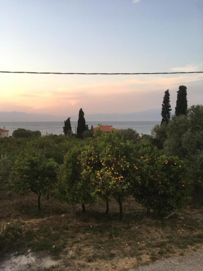 Lovely Apartment Next To The Sea Lygia Korinthias Ligia  외부 사진